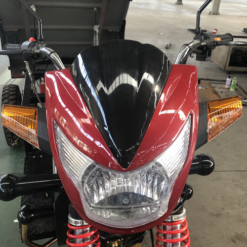 Motorcycle 50 Shock 250cc Three Wheel Trike Bicycle