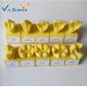Buy cheap Standard Rubber Teeth Mould Dental Teaching Model , Study Models In Dentistry from wholesalers