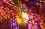 Holographic Eyeliner Foil 3D Holographic Display for Concert , Fashion Showcase