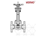 Forged Cryogenic Gate Valve Extension Stems 316ss 1 Inch DN25 2500LB Flanged RTJ