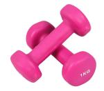 Wholesale Round Head Vinyl Dipping Dumbbell /customize dumbell