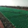 Buy cheap Green HDPE Plastic Planting Grass Paver Grid for Driveway CE/ISO9001/ISO14001 Certified from wholesalers