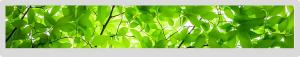 China 36.6 1920x290 Bar Type LCD Ips Viewing Angle 51 Pin Display Lvds Interface on sale