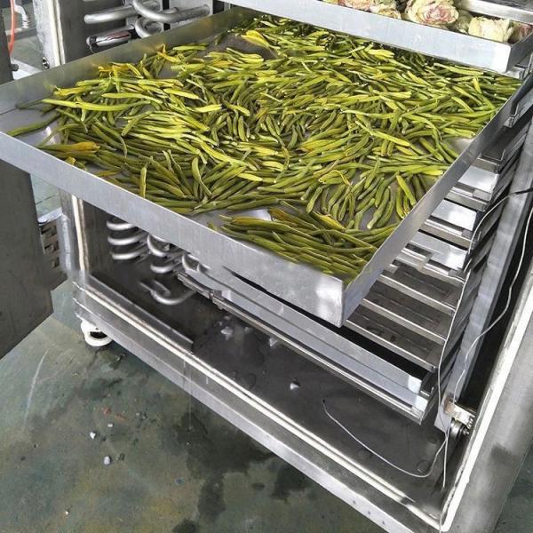 Buy cheap Food Industrial Freeze Dryer 200 Kg/Batch PLC Control Air Cooling from wholesalers
