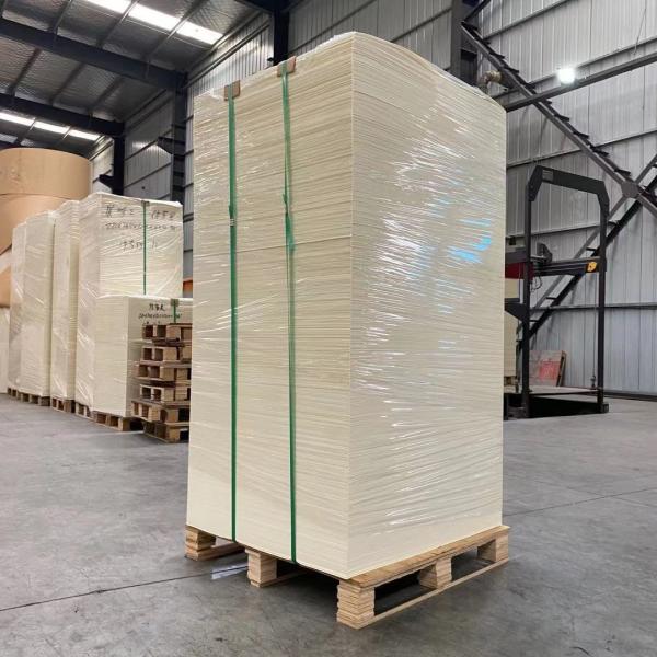 Buy cheap Greaseproof Single PE Coated Paper Cup Sheet 300mm-1600mm Width from wholesalers