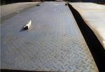 MS Mild Alloy Carbon Steel Plate Sheet ASTM A36 A283 A387 S235jr Checkered