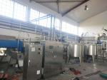 Aseptic Bag 1t/H SUS304 Mango Pulp Processing Plant