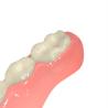 Buy cheap Semi Transparent Pink Biocompatible 3d Resin Light Curing Dental Resin from wholesalers