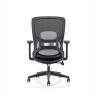 Buy cheap Commercial Furniture Swivel Executive Mesh Computer Ergonomic Desk Luxury Office Chairs from wholesalers