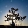 Buy cheap Stainless Steel Sculpture-People Tree Mirror Polished from wholesalers