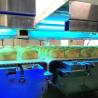Buy cheap High Quality Industry Commercial Food Material Custom Conveyor System from wholesalers