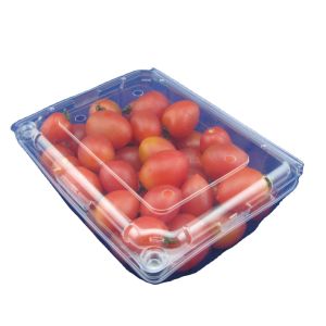 Buy cheap Eco Friendly Disposable PET Fruit Plastic Packaging Boxes OEM product