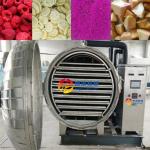 High Capacity Industrial Lyophilizer Freeze Dryer for Food Fruit Vegetable Meat