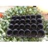 Buy cheap Injection Mould 24 Holes HDPE Plastic Nursery Tray Pot Carry Tray OEM from wholesalers