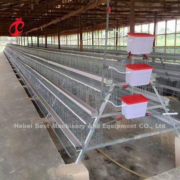 Buy cheap Commercial Chicken Layer Battery Cage System 2.0m*2.0m*1.45m In Nigeria Star from wholesalers