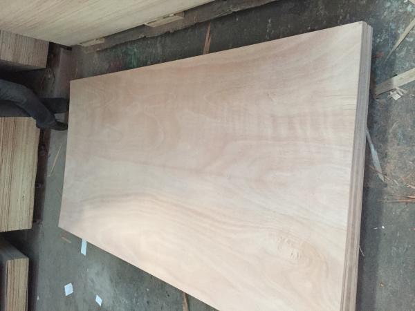Buy cheap wholesale 9mm 12mm 15mm 18mm best price commercial plywood from wholesalers