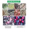 Buy cheap fresh vegetable,fish shock chiller fast freezing small blast freezer chiller for sale from wholesalers