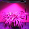 Buy cheap Cob Led Full Spectrum 50w from wholesalers