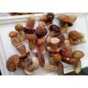 Buy cheap IQF Individually Quick Freezing Wild Boletus Edulis Whole In Nature Color from wholesalers