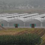 Hard Corrugated 8m Width Plastic Film Greenhouse Wind Resistant