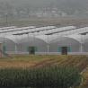 Buy cheap Hard Corrugated 8m Width Plastic Film Greenhouse Wind Resistant from wholesalers