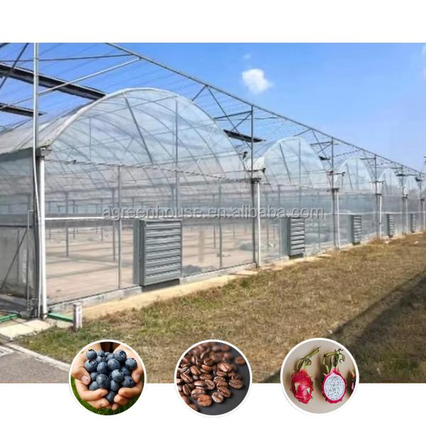 Buy cheap Hot Sale Poly Tunnel Agricultural Multi-span Plastic Film Blueberry Greenhouse from wholesalers