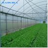 Buy cheap Agricultural Plastic Film Greenhouse Large Size High Latitude Area Ecological from wholesalers