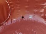 Inflatable Commercial Grade Two Room Pvc Clear Eco Dome Camping Bubble Tent