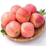 Buy cheap 1t/H 2t/H Apple Processing Line Fruit Juice Processing Machines from wholesalers