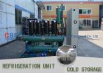 Ice Cooling Freezer Cold Room America Copeland Compressor Condensing Unit 100MM