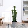 Buy cheap Custom Cactus Ornaments Bonsai Artificial Succulent Plant from wholesalers