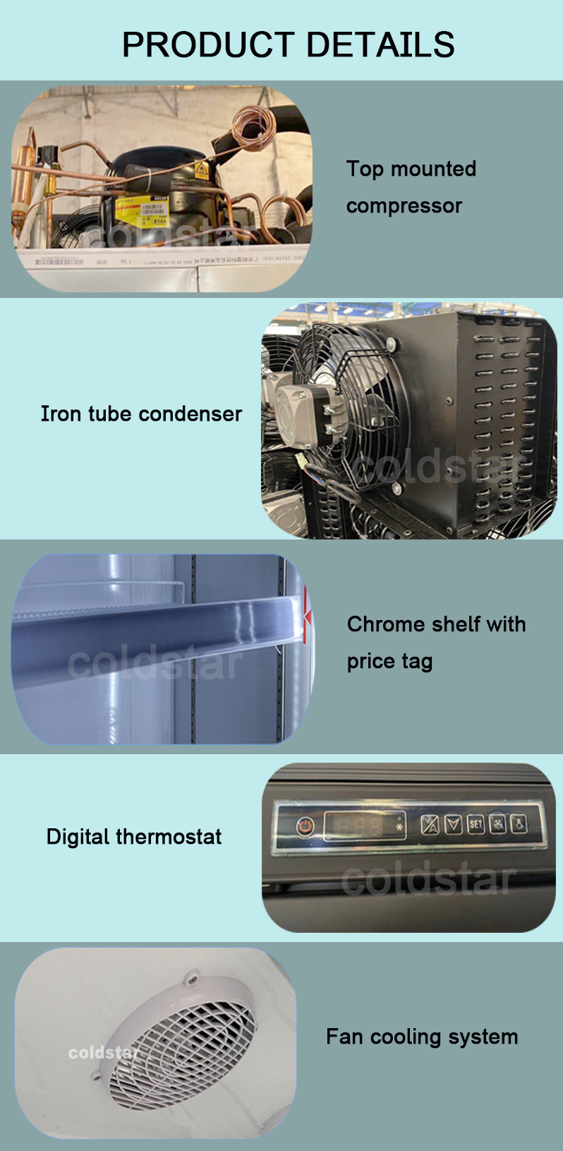 Frozen Food Freezer Display Case Vertical Commercial Glass Door Fridge Freezer
