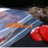 Buy cheap Recloseable Medical/Medicine Zip lockk Bag/Small Plastic Bag for Drug, transparent LDPE medical Zip lockkbag/hospital zipper from wholesalers