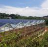 Buy cheap Hydroponics and Soilless Cultivation Multi-Layer Greenhouse jx-SG-6 with Heat Storage from wholesalers