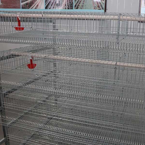 Buy cheap Indoor Farm Quail Breeding Cages 6 Tiers 12 Cell 288 Quails from wholesalers