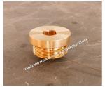 SOUNDING HEAD CAP SOUNDING TUBE CAP STAINLESS STEEL MATERIAL: COPPER STAINLESS