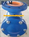 DN100 PN16 GG25 cast iron swing check valve