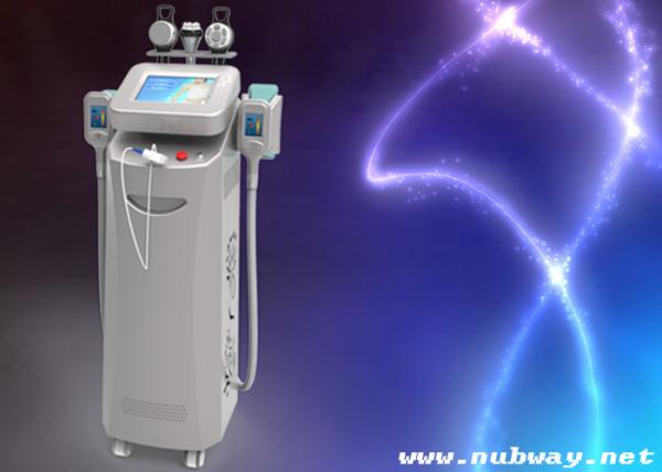 Buy cheap Come for hot Summer!!!Cryoliposis slimming machine from wholesalers