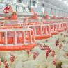 Buy cheap Broiler Poultry Farming 45 Chicken Feeding Line Drinking Line Automatic Equipment Rose from wholesalers
