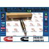 Buy cheap Injector2872289 2086663 2058444 2031386 2036181For C-ummins from wholesalers