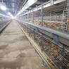 Buy cheap Q235 Battery Cages Laying Hens Chicken Farming Materials A Type from wholesalers