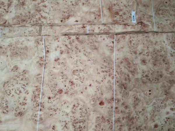 Buy cheap 0.6mm Mappa Burl Veneer for Furniture Usage from wholesalers