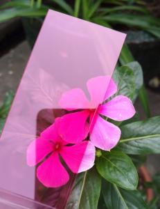 Wholesale 2.1m Width Pink Polycarbonate PC Solid Sheet With 0.6mm-18mm Thickness from china suppliers