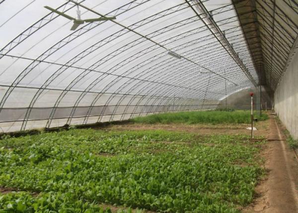 Buy cheap Assembled Solar Greenhouse Steel Pipe Single Tunnel For Seeding / Planting from wholesalers