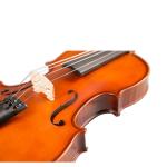 Tengling FLV2113 Full Size Flamed Solid Wood Violin Handmade for Beginner Spruce