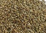 High Oil Content Agricultural Products , Perilla Seeds 10% Max Moisture