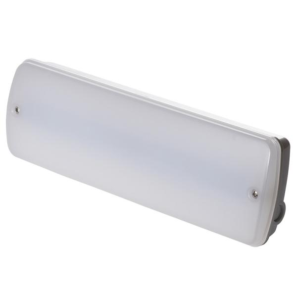 Quality IP65 Bulkhead Plastic Waterproof Emergency Light 3 Hours Operation for sale