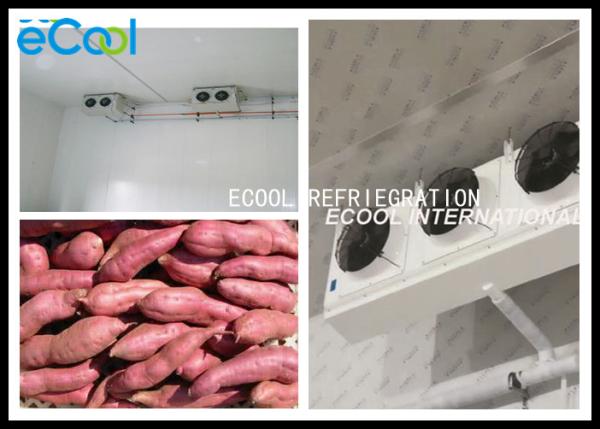 Buy cheap Sweet Potato Cold Storage Of Fruits And Vegetables Humidity Control from wholesalers