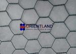 Flexible High Strength Wire Gabion Wall Baskets Revegetation PVC Coated Gabion