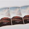 Buy cheap 750ml Custom Beer Bottle Labels Roll Printing waterproof OEM ODM from wholesalers